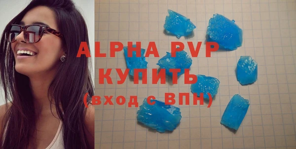стаф Осташков