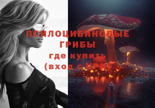 бошки Абаза